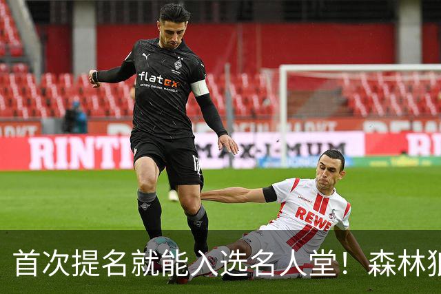 首次提名就能入选名人堂！森林狼主帅力挺戈贝尔：外界指责他实在不公